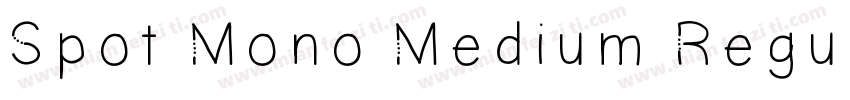 Spot Mono Medium Regular字体转换